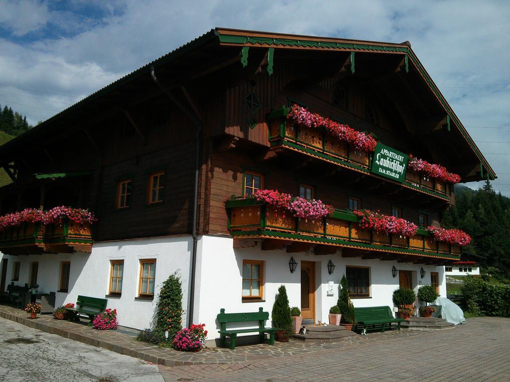 Laubichlhof Apartment Flachau Phòng bức ảnh